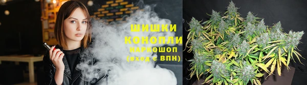эйфоретик Алексин