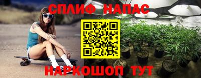 стафф Будённовск