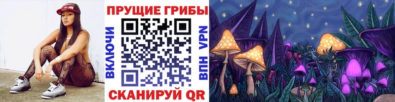 kraken как зайти Новоуральск Псилоцибиновые грибы Cubensis