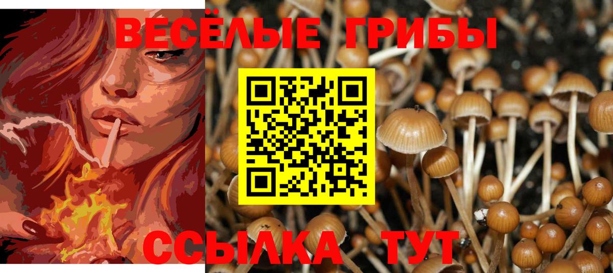 Галлюциногенные грибы Magic Shrooms  как найти   Псилоцибиновые грибы Magic Shrooms  Новоуральск  Вход с VPN 